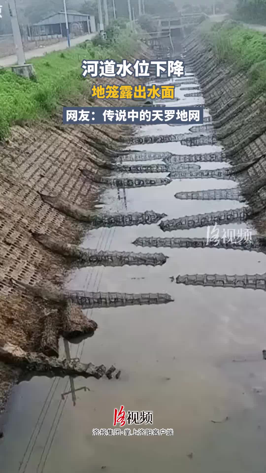 河道水位下降，地笼露出水面……