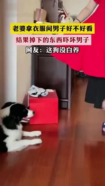 它居然还知道望风