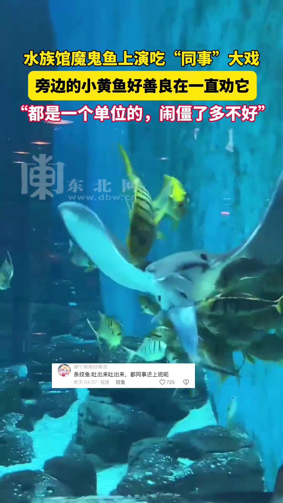 “都是一个单位的 闹僵了多不好”