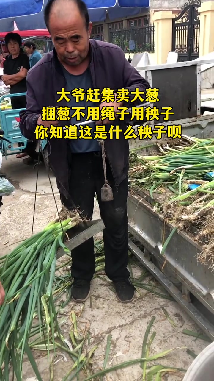 大爷赶集卖大葱，用秧子当绳，吧友们认得是什么吗