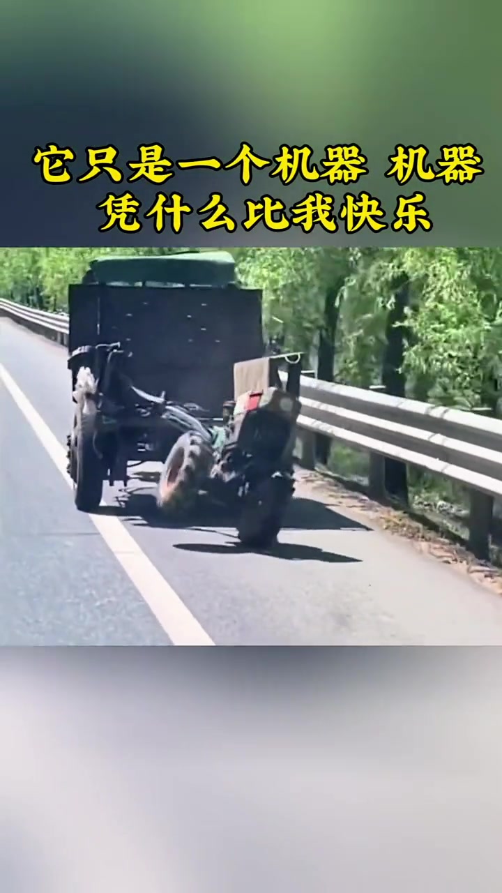 它凭什么比我快乐？?凭什么……
