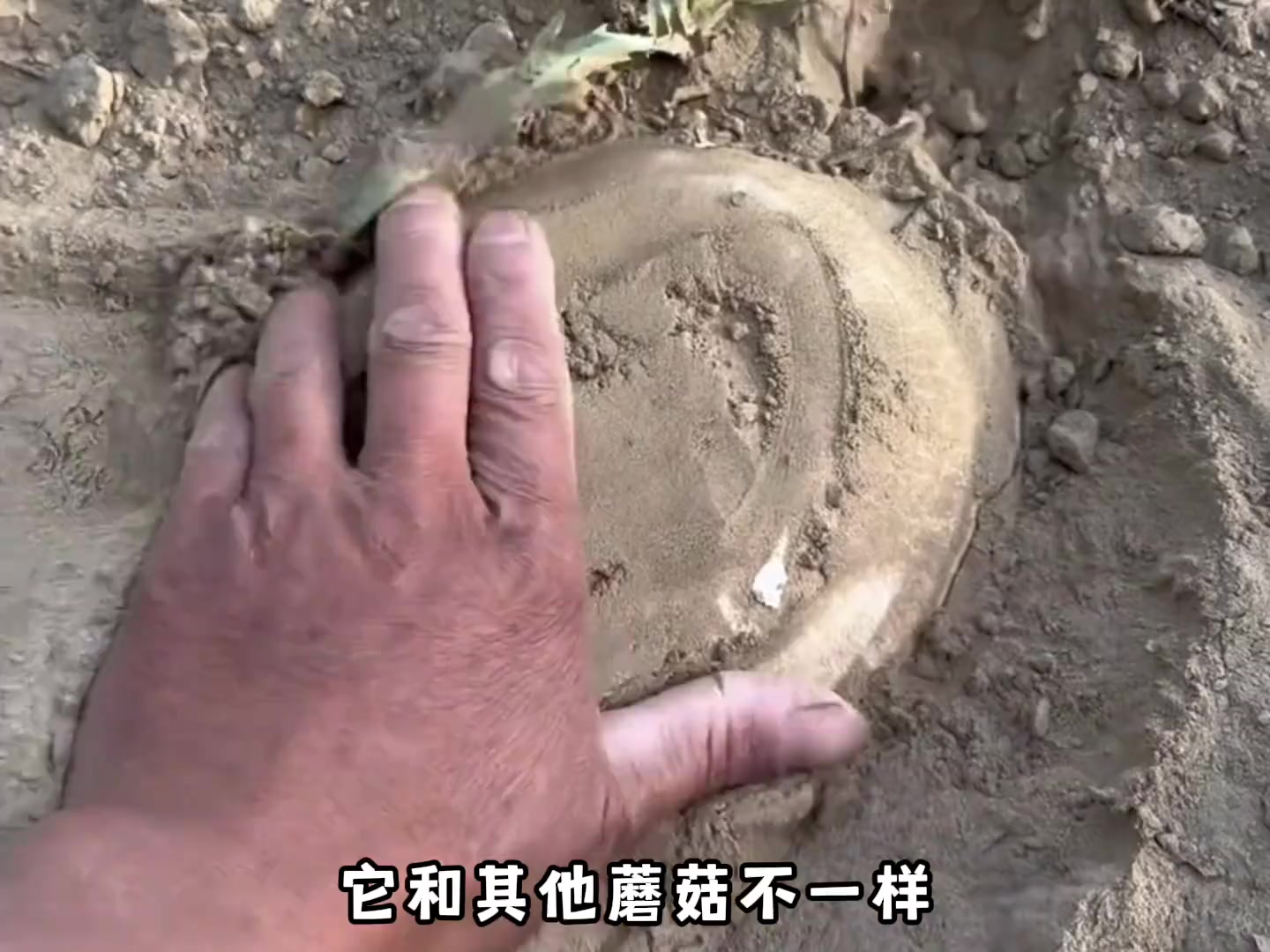 原来科学家取名也这么随意的？
