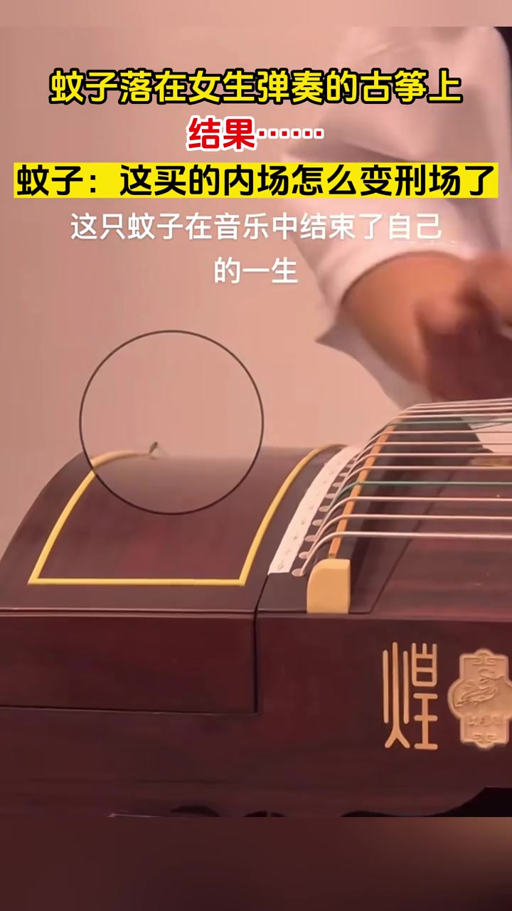 这买的内场怎么变刑场了！