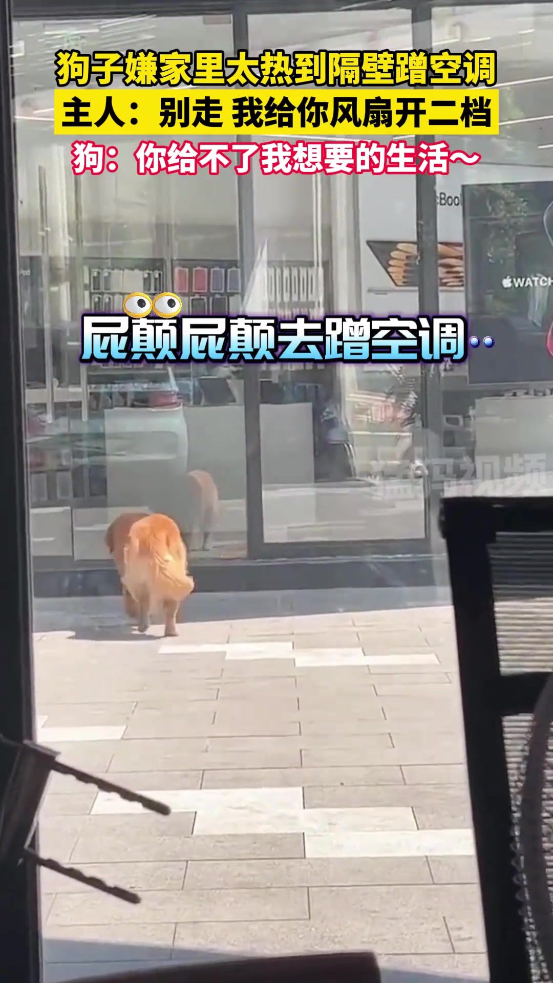 我这是在给你带回一个老板娘！