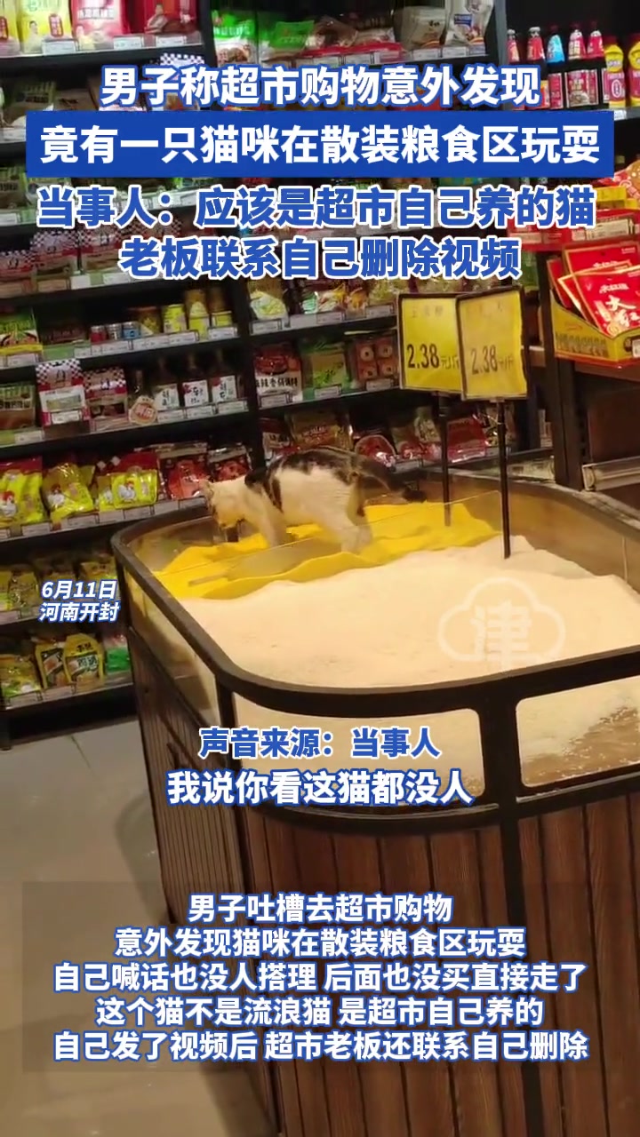 不会把这当猫砂了吧！