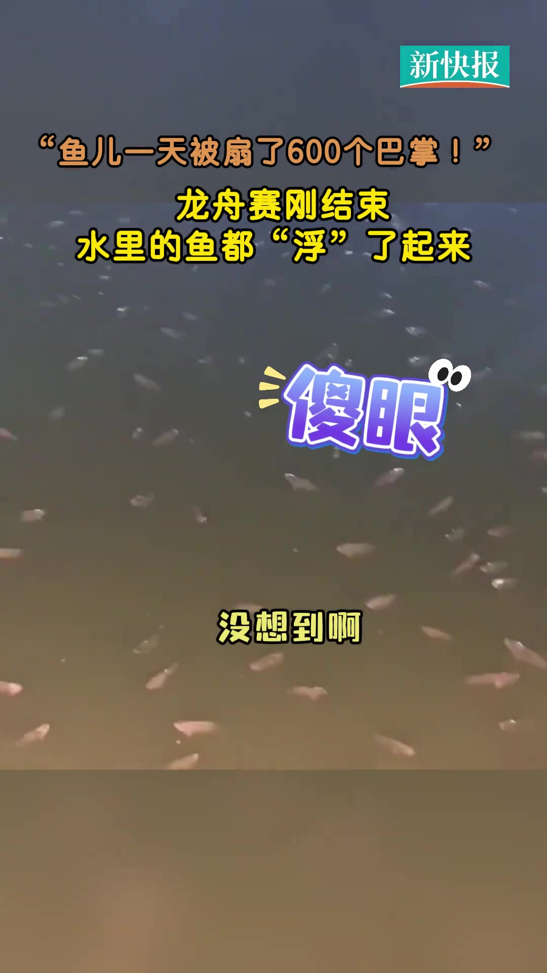 终于懂了为什么端午节要赛龙舟了！