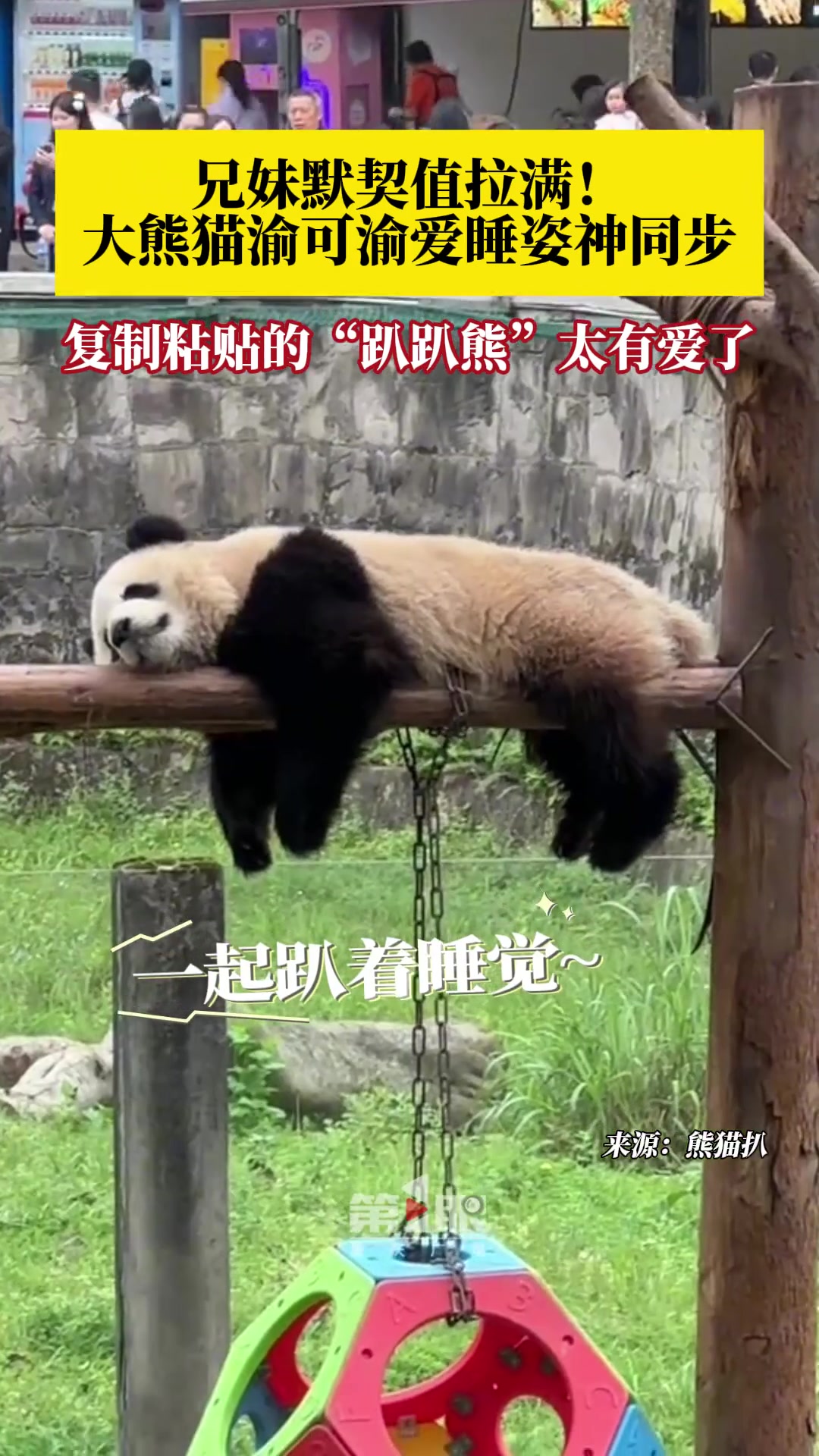 双胞胎的默契感有多强？……