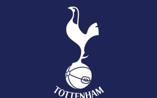 德转热刺球员身价变化：范德芬等5人上涨，西蒙斯等16人下跌