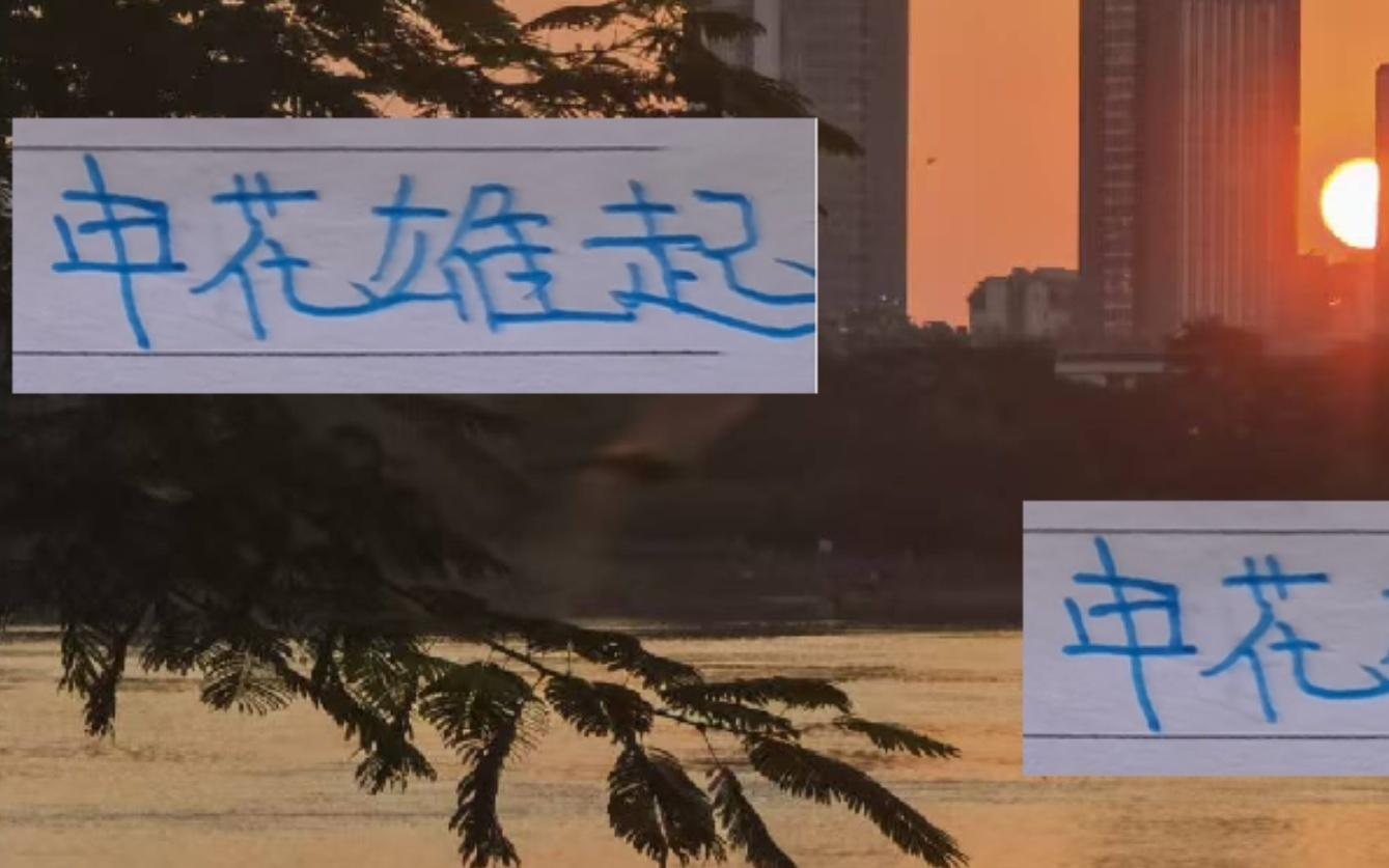 申花雄起！申花苏神亚冠破门得分顺便把对方后卫都给带倒！