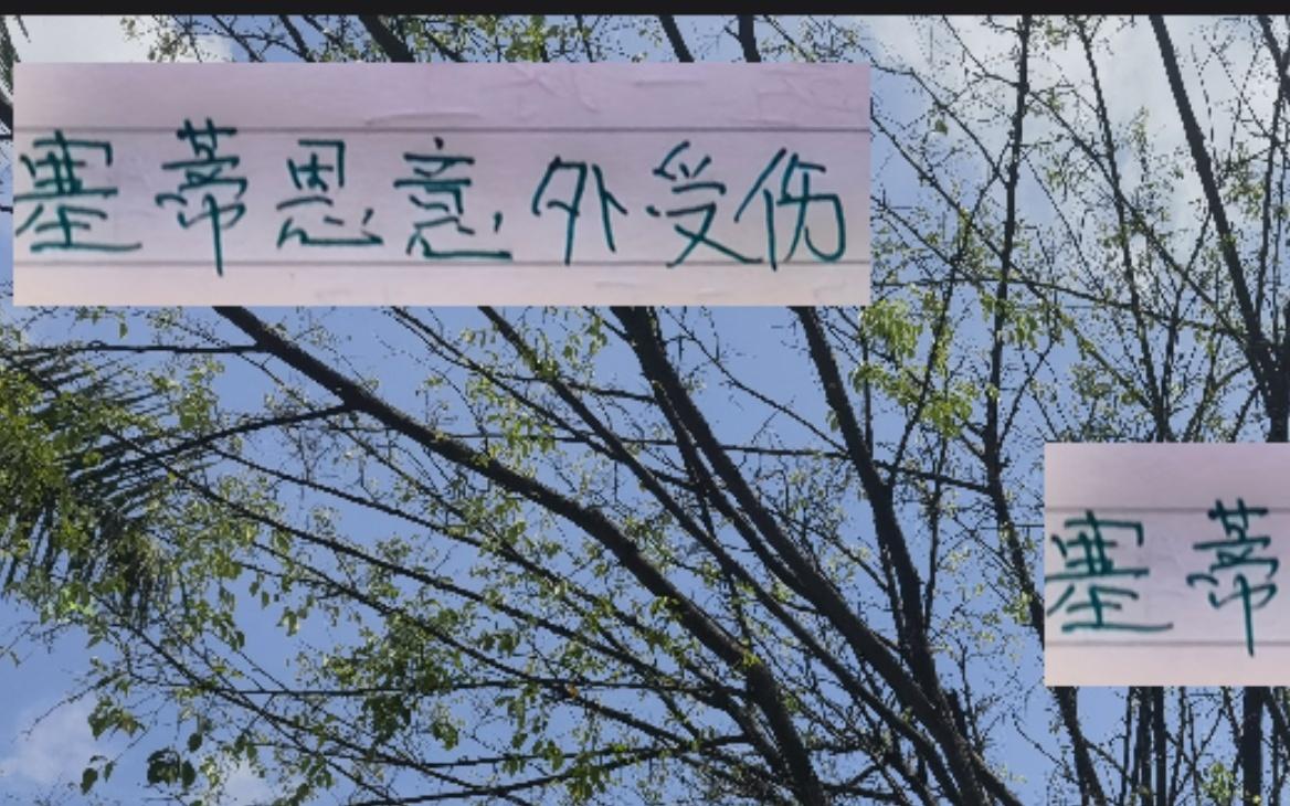 这也太巧！去年苏亚雷斯拄了个拐没想到今年轮到塞蒂恩开了个瓢