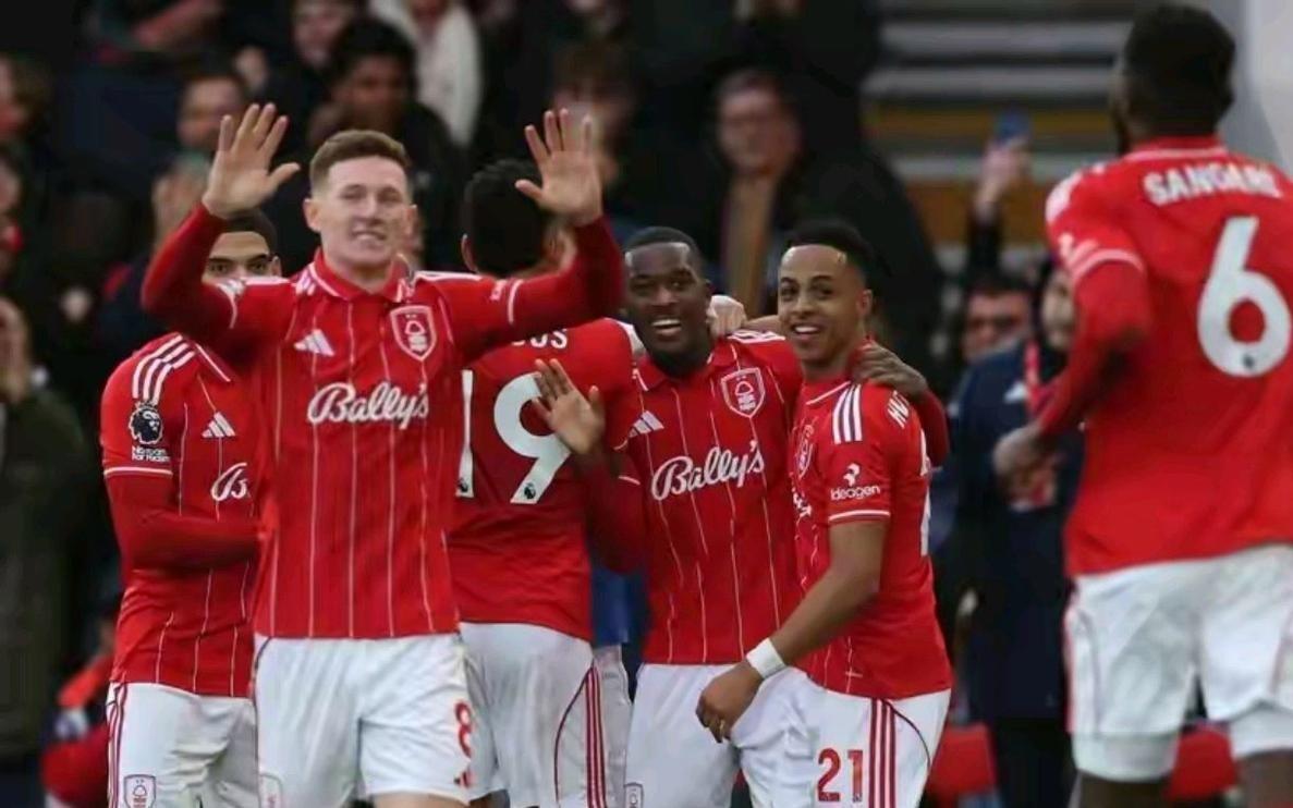 英超第16轮热刺客场03不敌诺丁汉森