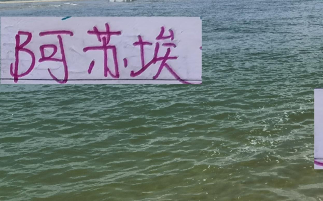 阿苏埃已是3轮不进球打青岛海牛再不进申花球迷就要喊马莱莱