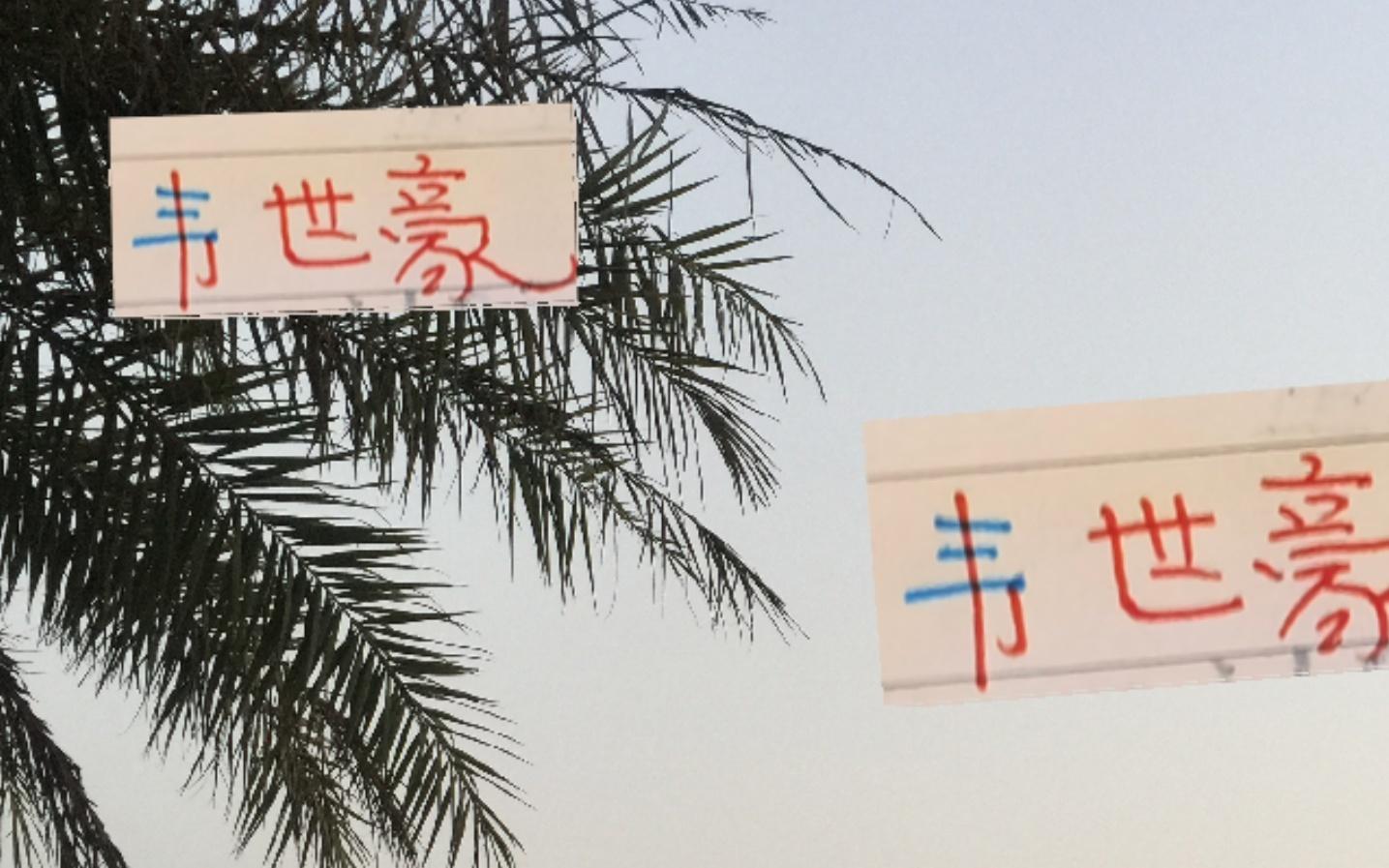 成都终于发韦世豪伤情公告笔者感觉一星期后战申花问题不大