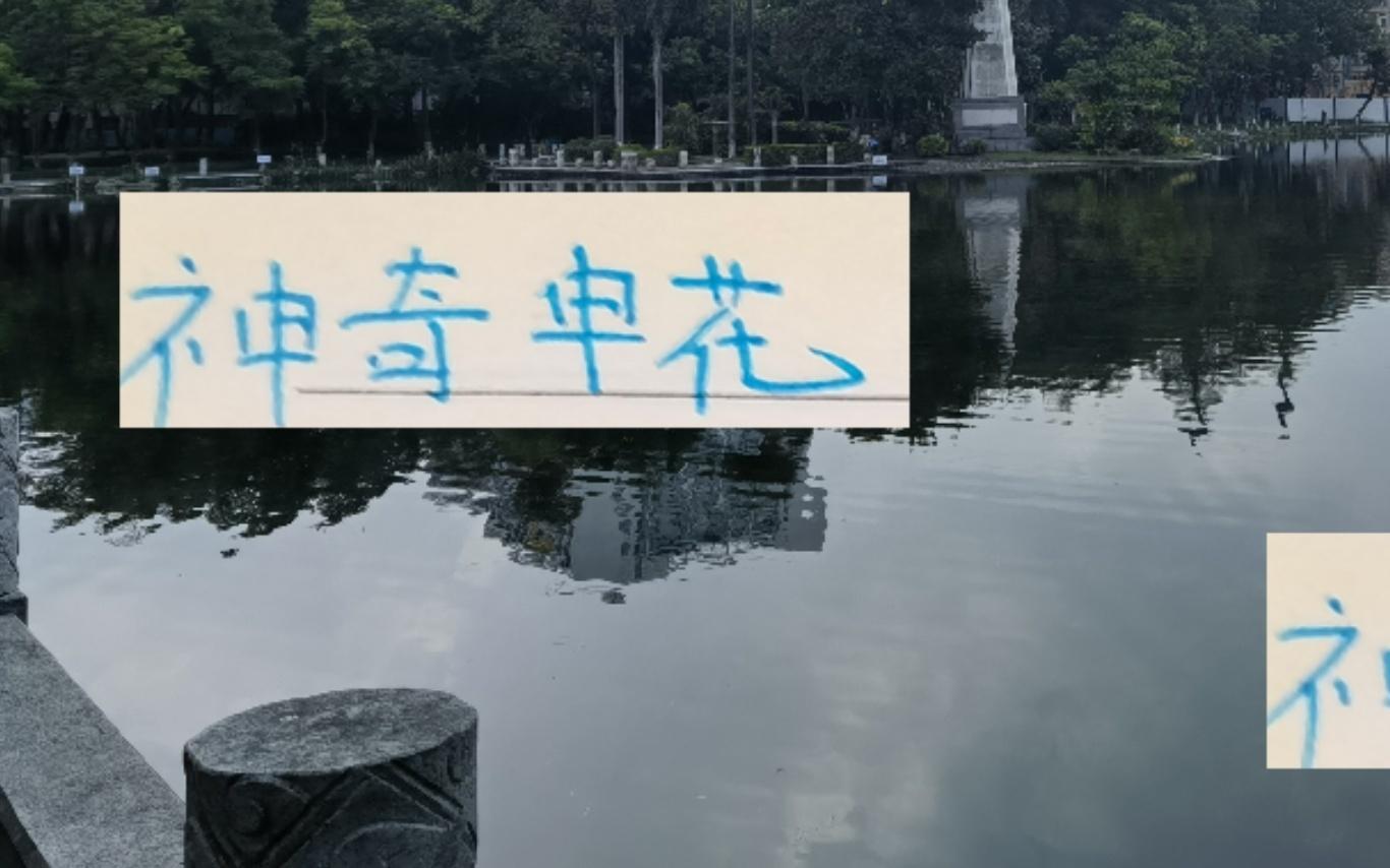 神奇申花!没有一个人进球双位数但他们进攻仅次于67球海港