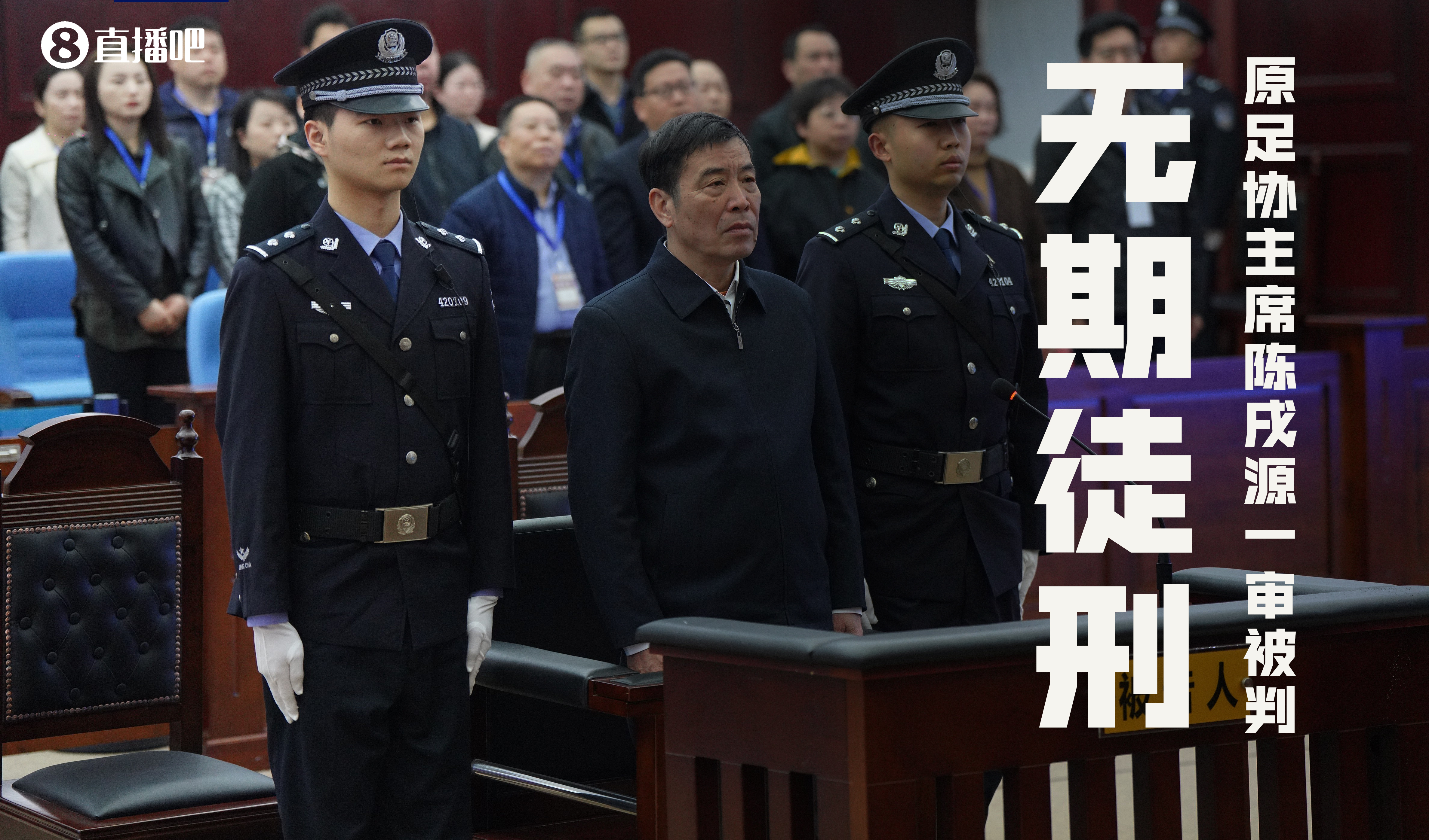 陈戌源被判无期徒刑，实际执行的刑期不能少于十三年