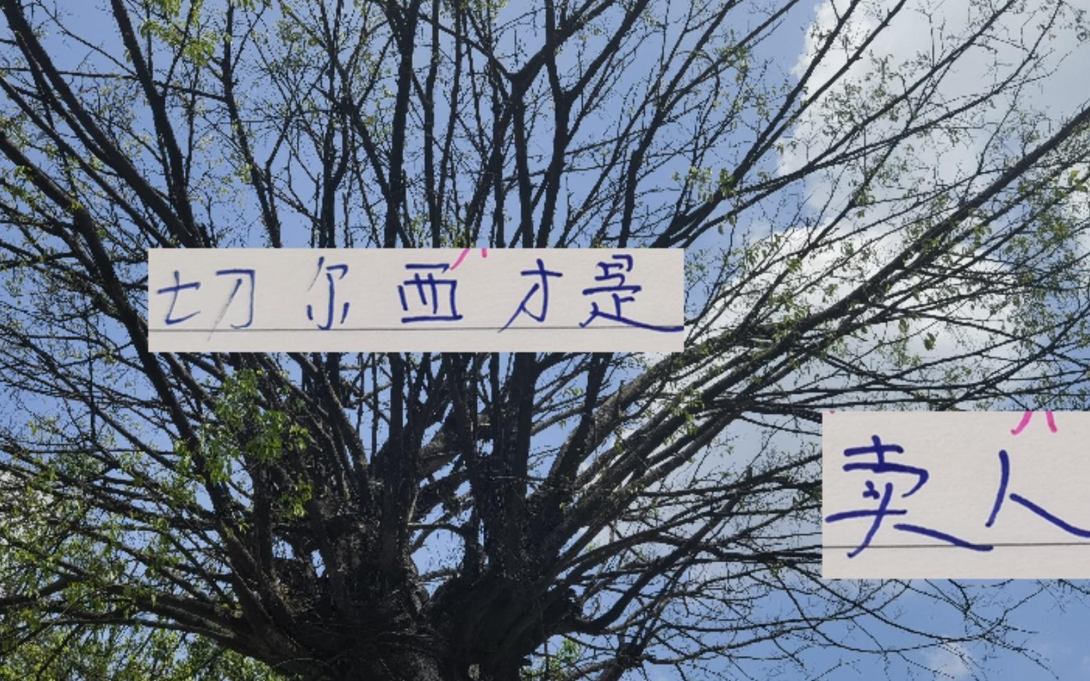 切尔西才是卖人天花板从当年卖给海