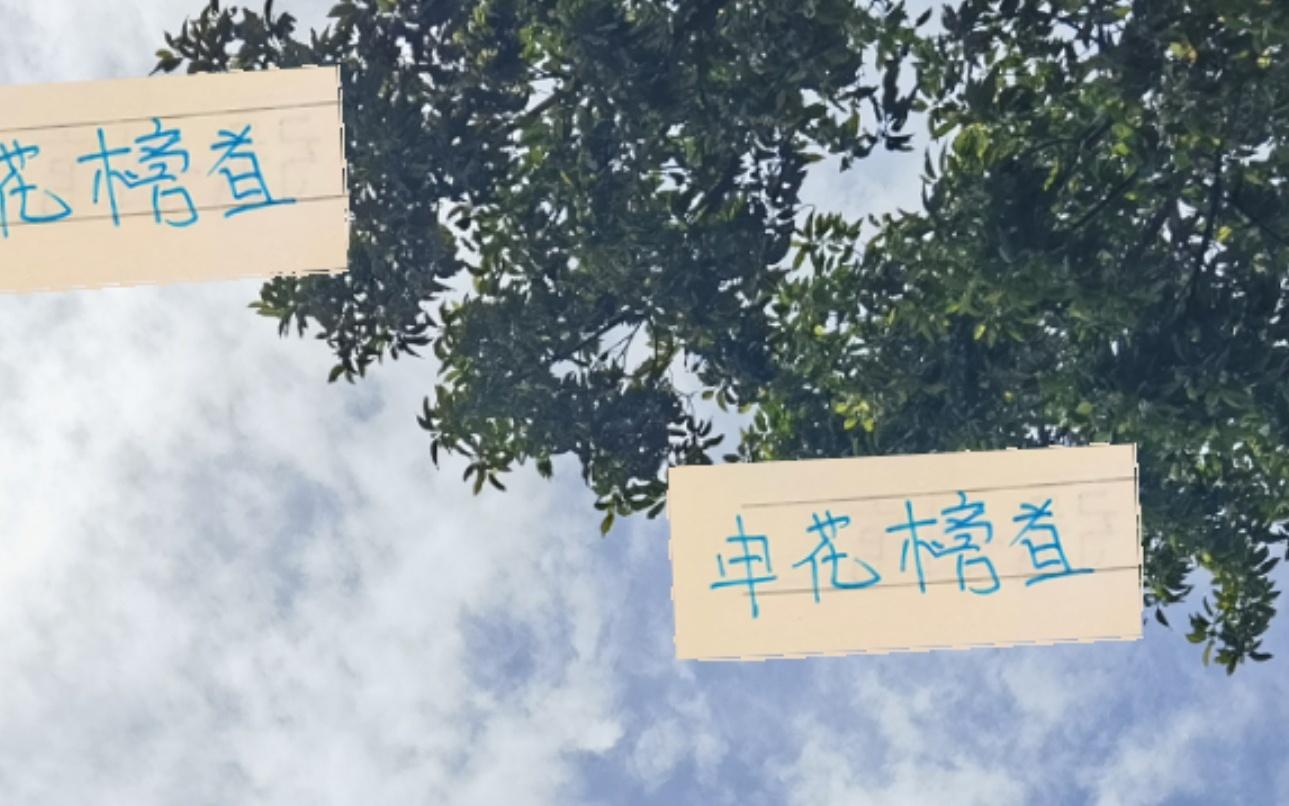 没想到！申花霸屏榜首最多但现在夺冠概率只能排第3！