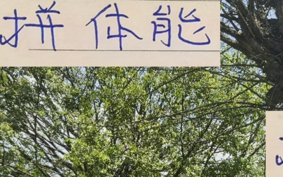 拼体能！很少有球队能干过成都周定洋费利佩比申花海港还能跑