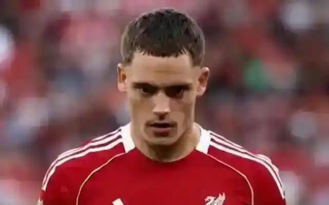 怀特维尔庆幸曼城无缘维尔茨，哈兰德