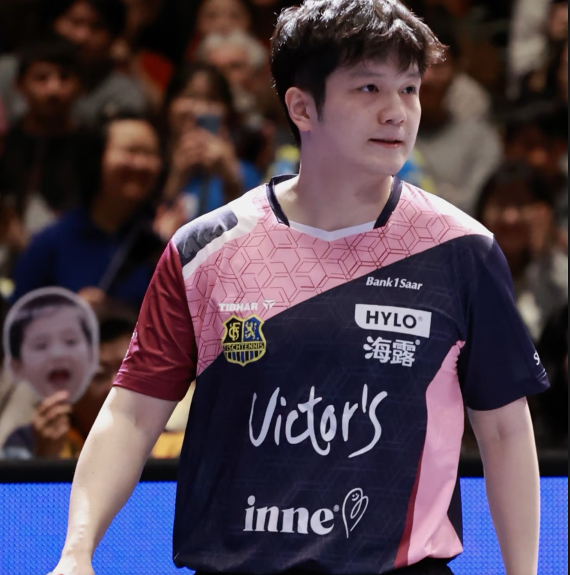 可爱樊振东欧冠首胜再模仿C罗庆祝,粉色球衣+霸气动作奶凶奶凶的