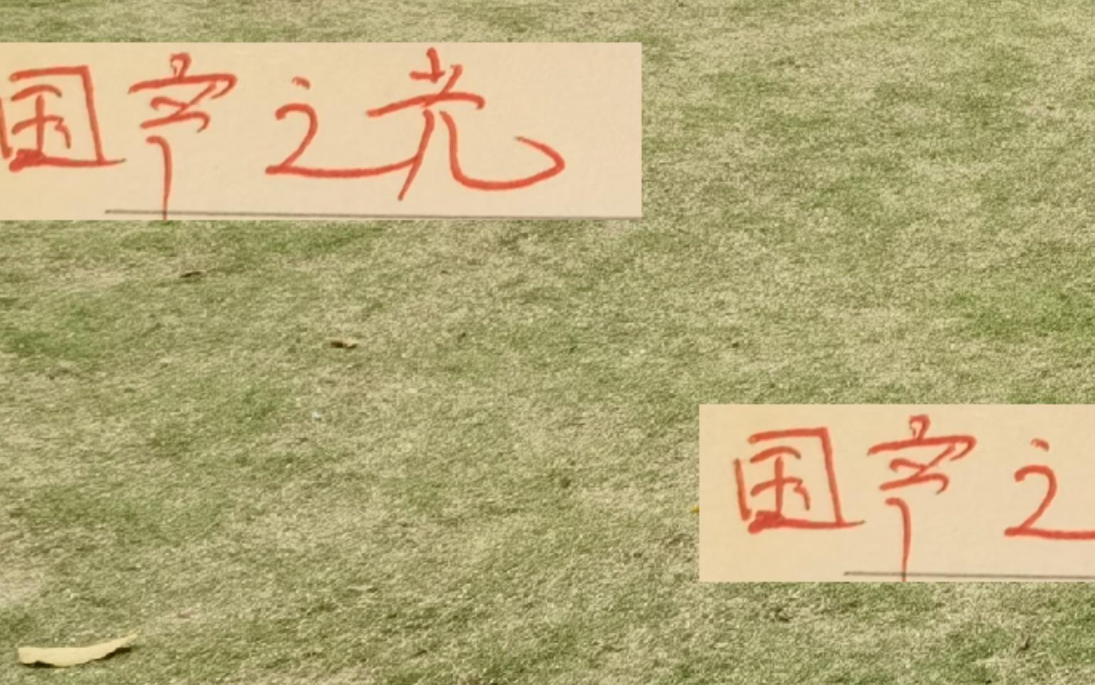 国产之光！亚洲赛事4球队只有上海申花获胜！能奖励鸡腿吗