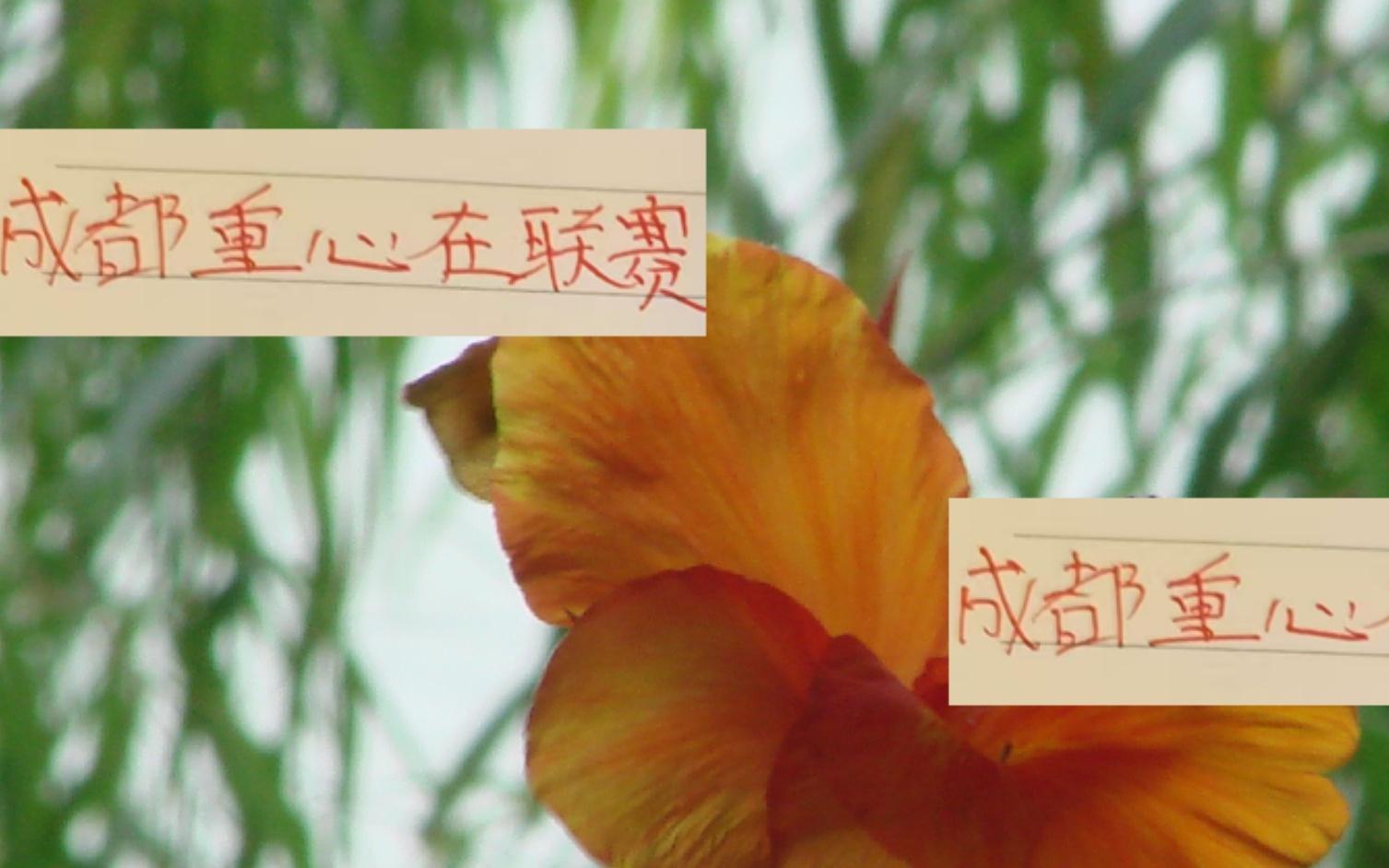 对亚冠！成都蓉城已经表明态度就不知道申花+海港的想法了！