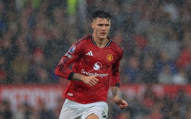 费迪南德：舍什科必须为自己缺乏机会承担责任，赛后与队友多沟通