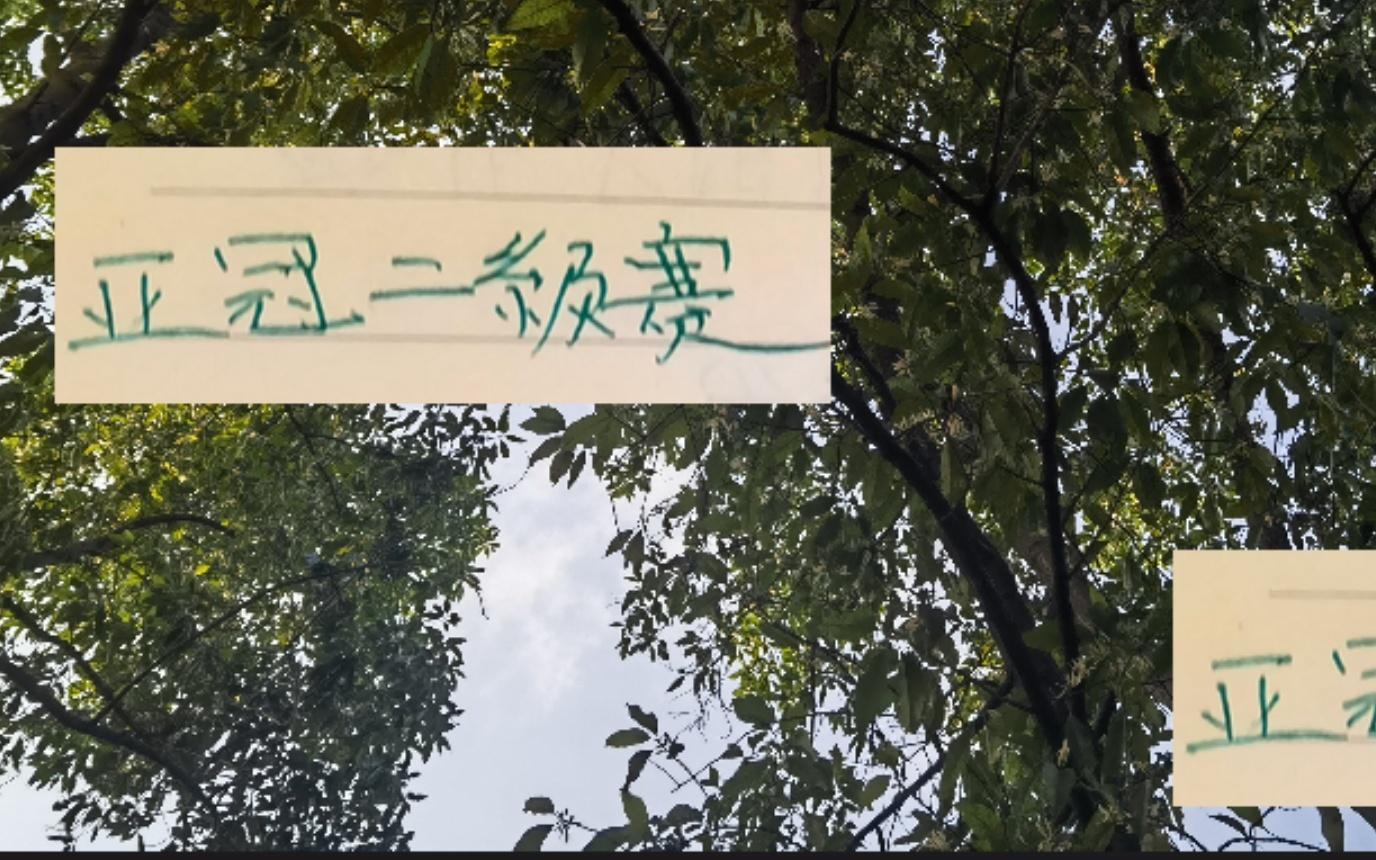 亚冠二级联赛北京国安也是抄申花作业就是一个外援首发！