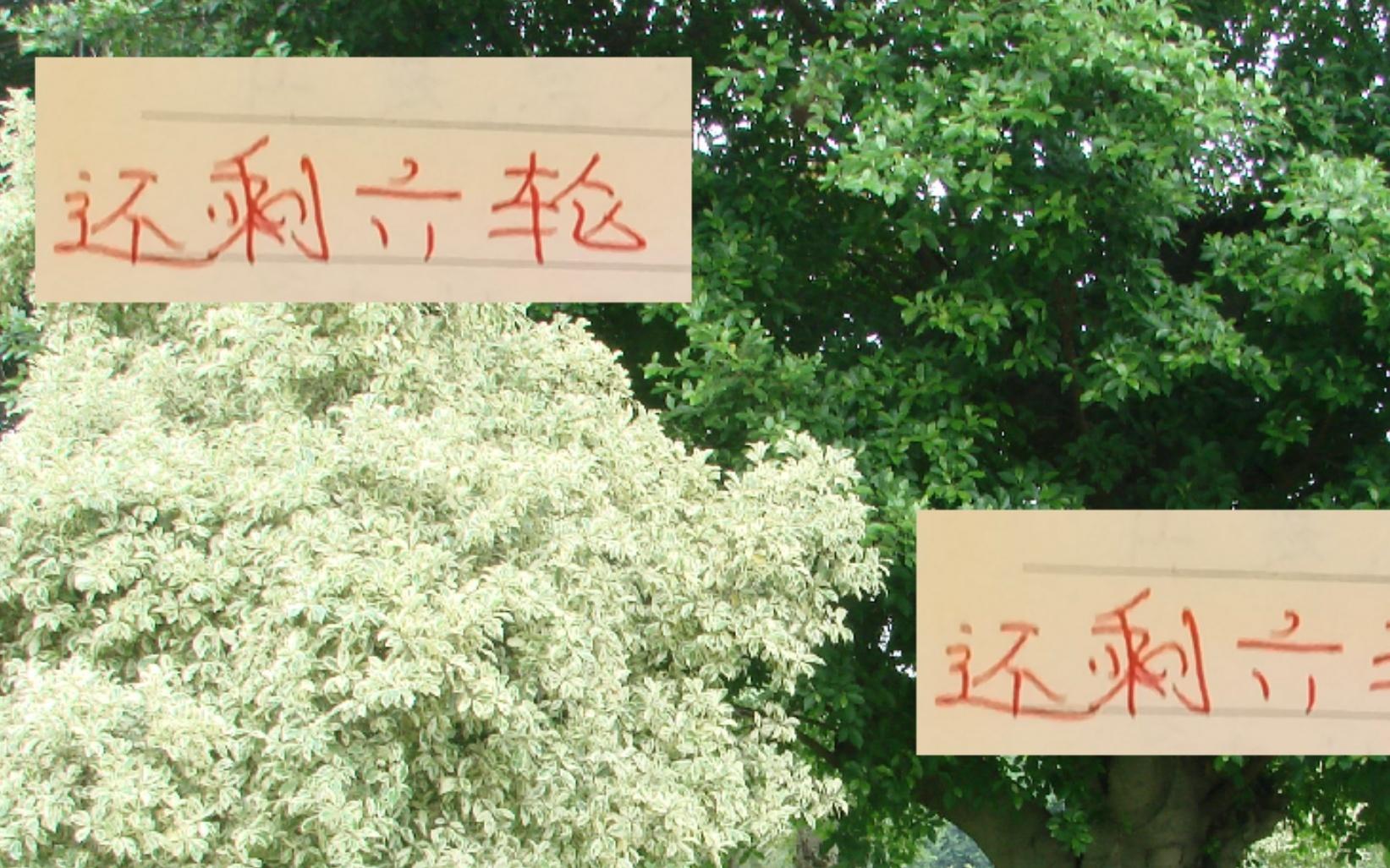 还剩六轮！要是赢不了海港！北京国安就是保级球队最强判官！