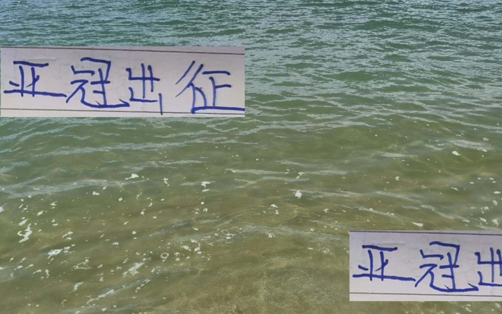 为中超增光！海港成都申花会在亚冠全