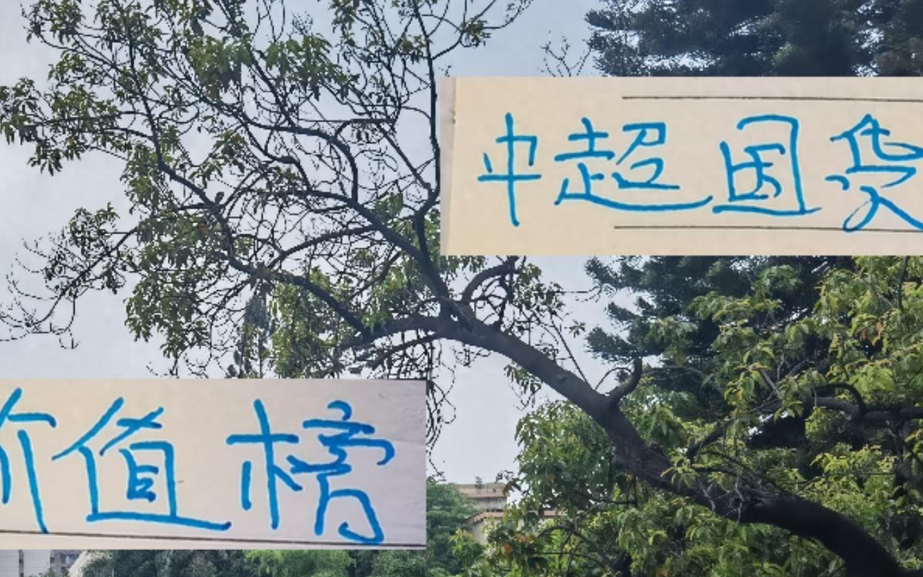 中超国货最新价值榜申花球员蒋圣龙最贵海港的莱昂纳多最值钱