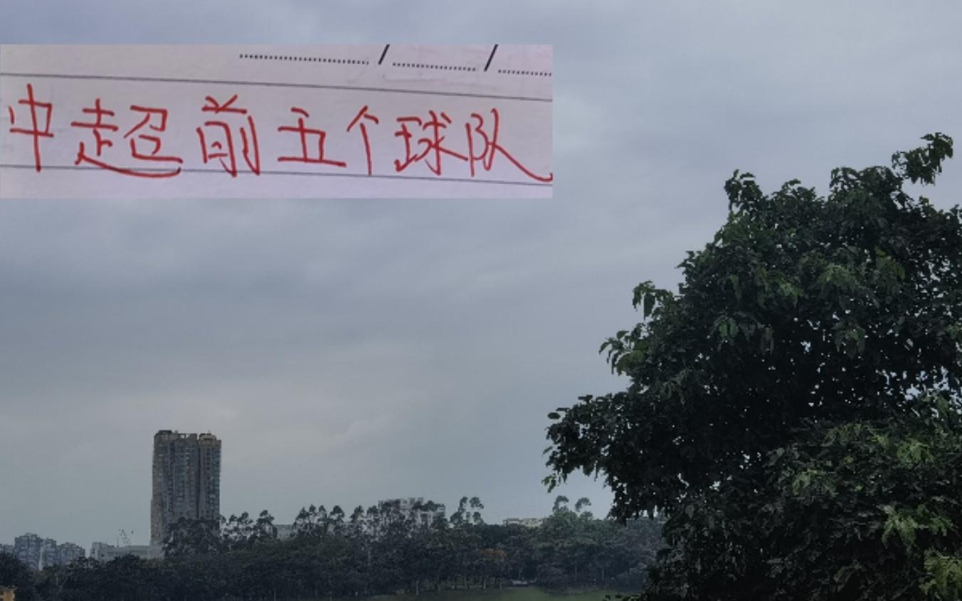 中超前5名各球队射手大佬！申花的米内罗的含金量还在提升！