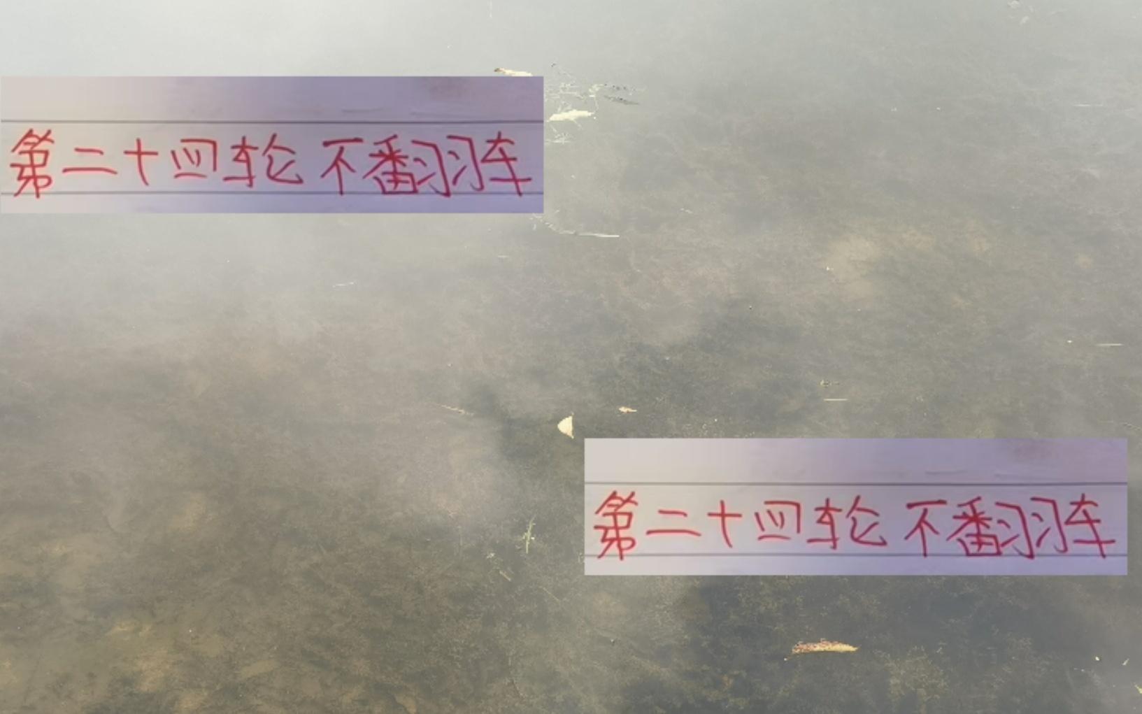 第24轮中超前4前瞻海港+成都是最不可能翻车