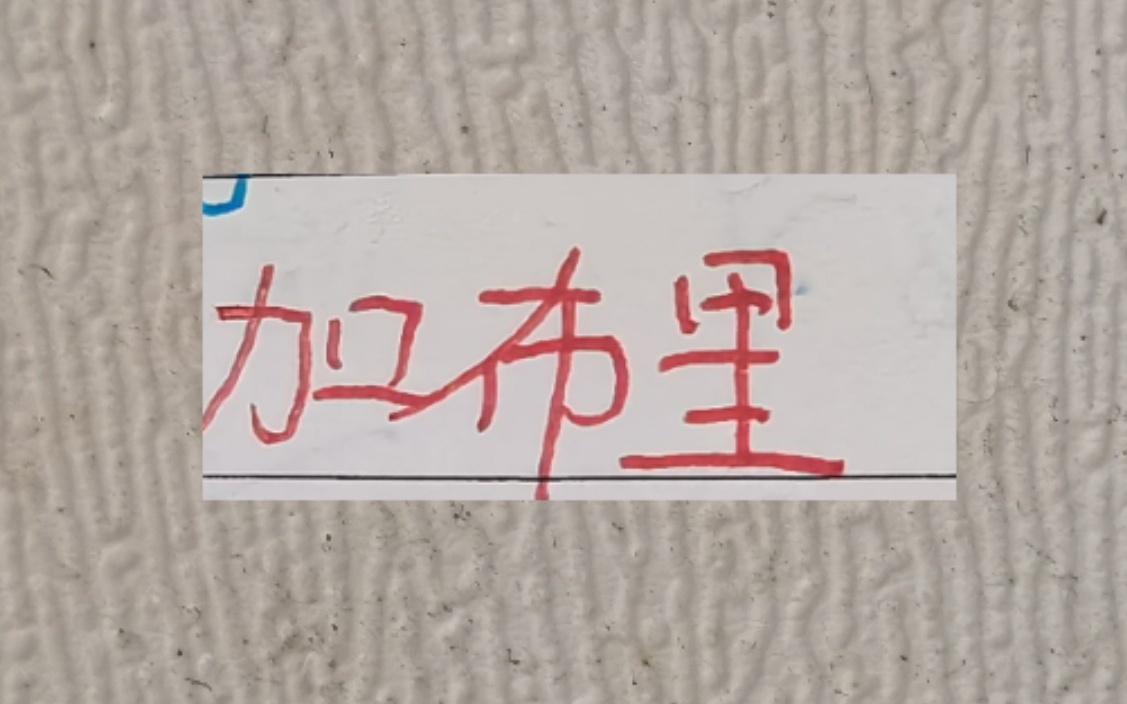 中超优质进货商！北京国安进货发飙拿到金靴海港的加布拿到冠军