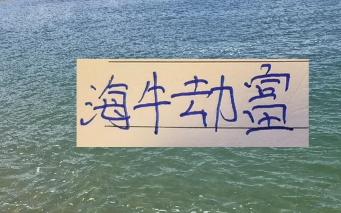 海牛劫富济贫！接连在山东成都北京国安拿到分数李太守可不吹