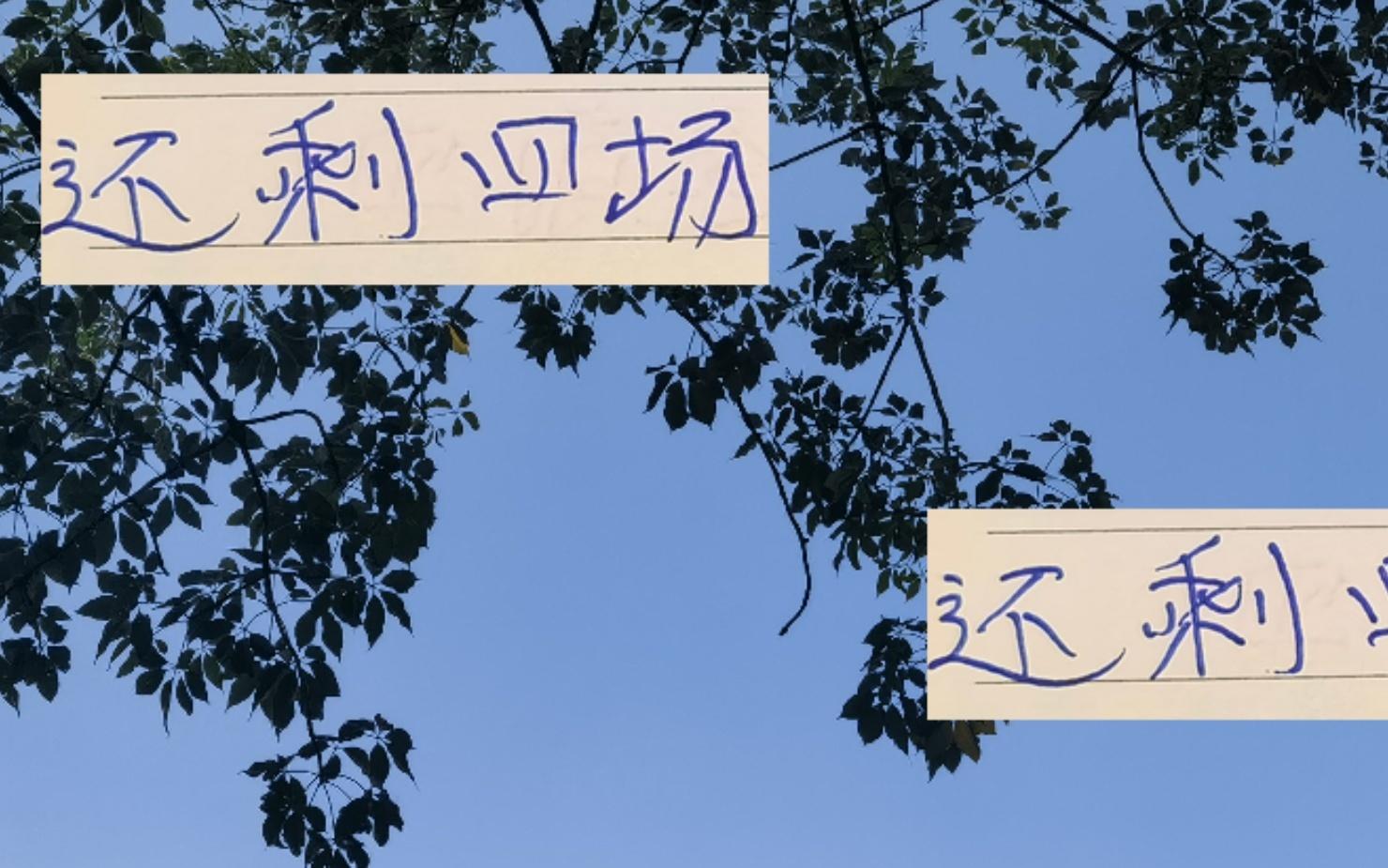 还剩四场！申花要想夺冠除自身硬外还得靠山东三支球队阻击