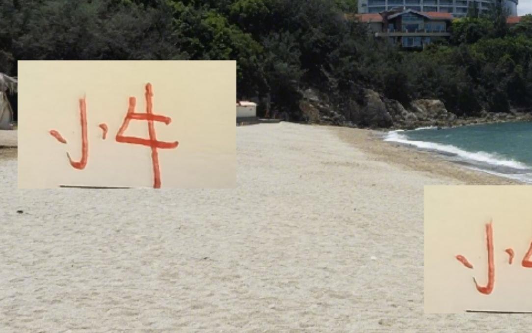 今年海港跟申花都外租的小牛海港是刘主任申花是费尔南多