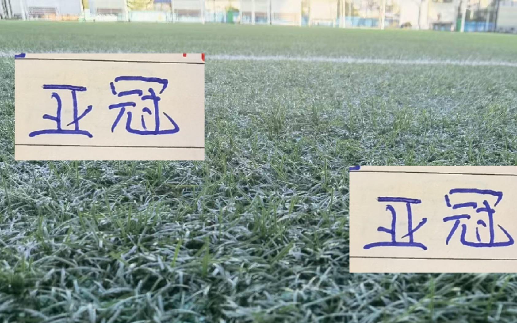 海港最后主场能迎来亚冠首胜吗还能用打大连三中卫战术来砸吗