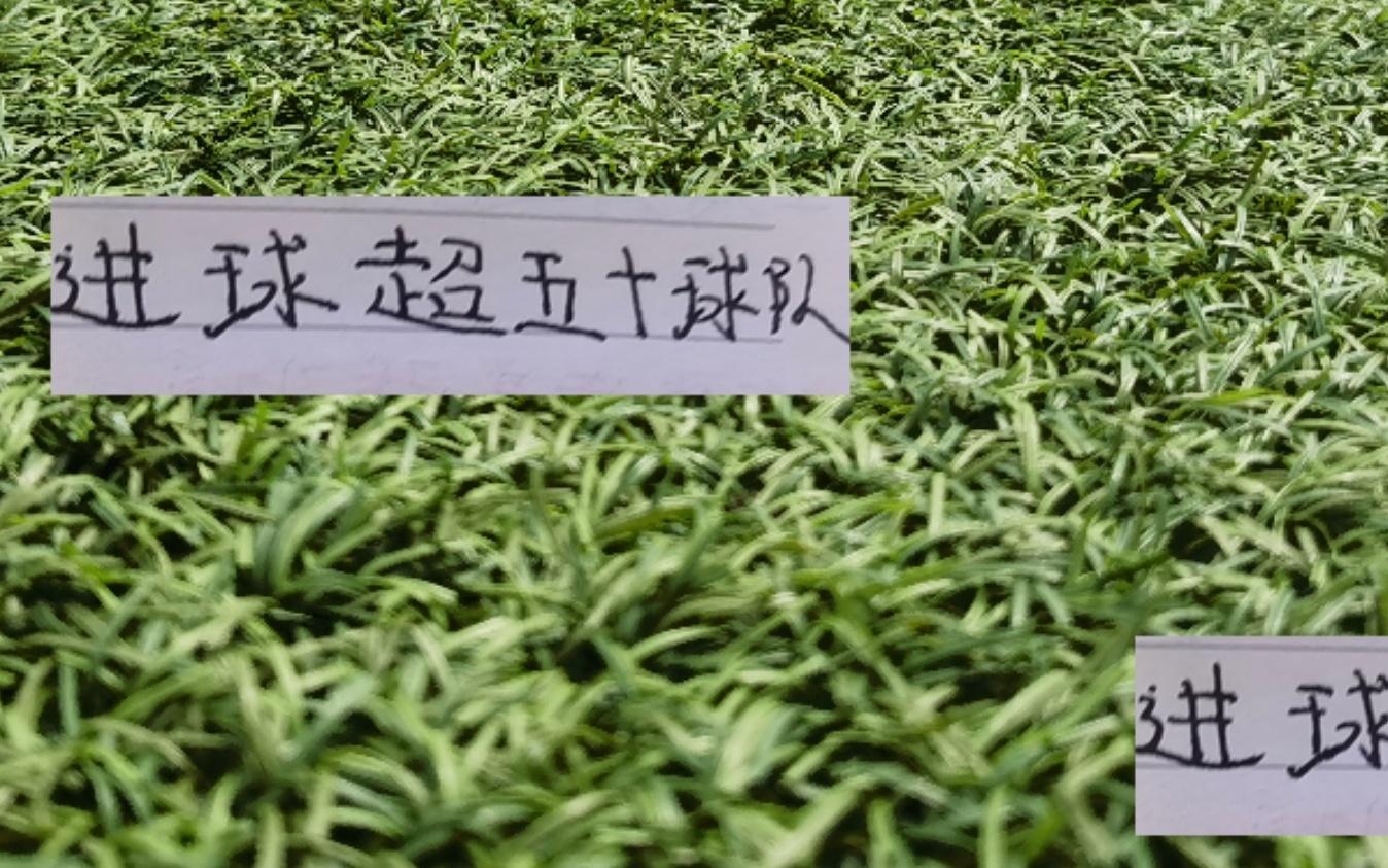 24轮下来！中超进球超过50个球队有海港申花山东北京国安