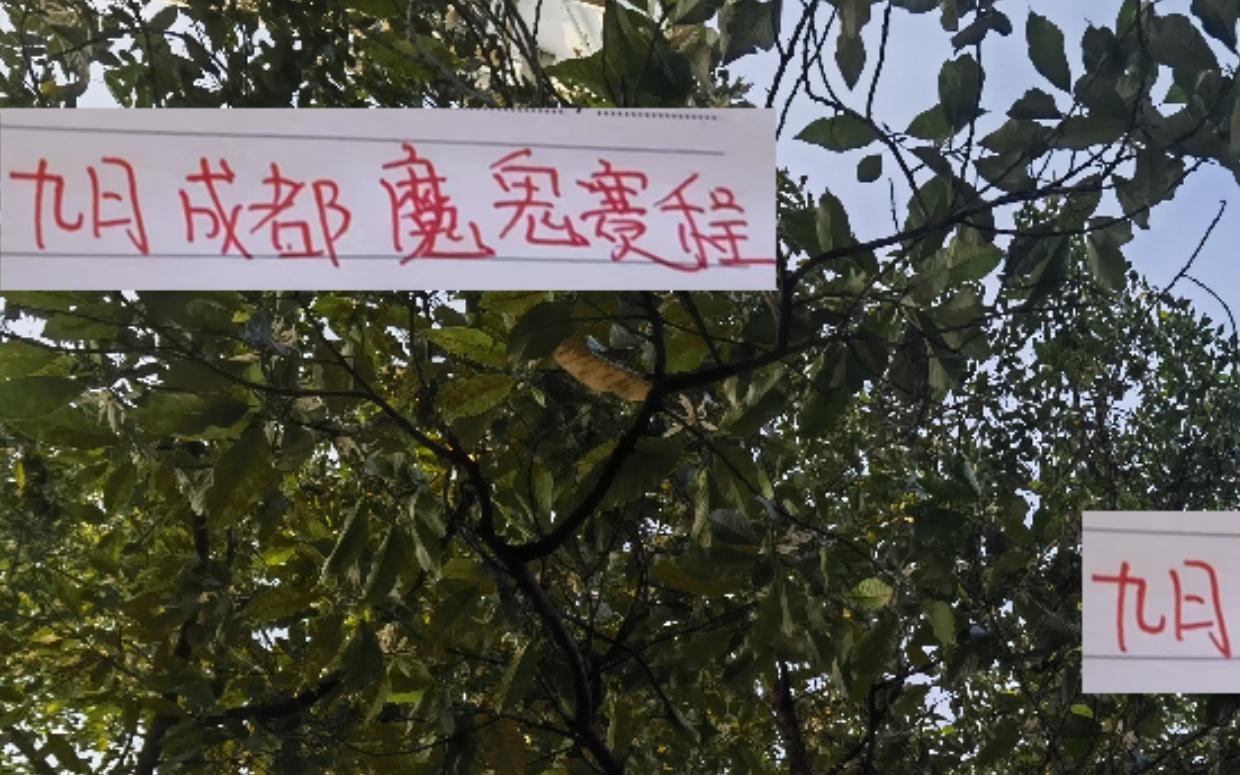 相比申花海港北京国安9月成都蓉城