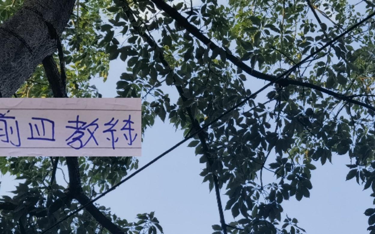 今年前4名教练明年还能“再见”吗其他球队不知道但申花肯定稳