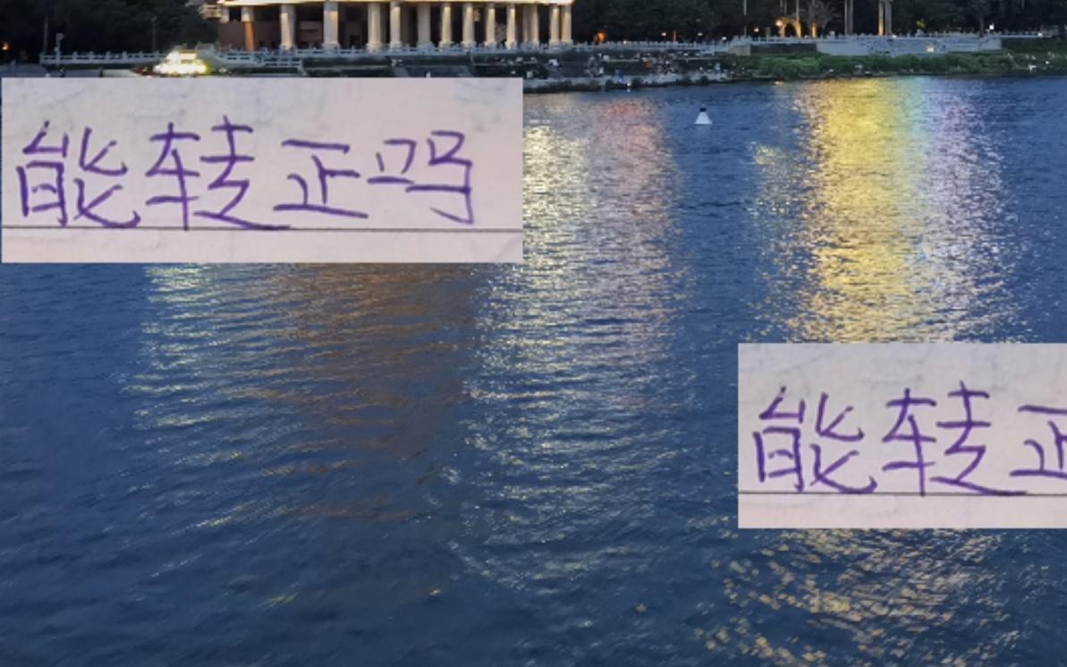 还能转正吗留给海港加布里埃尔在中